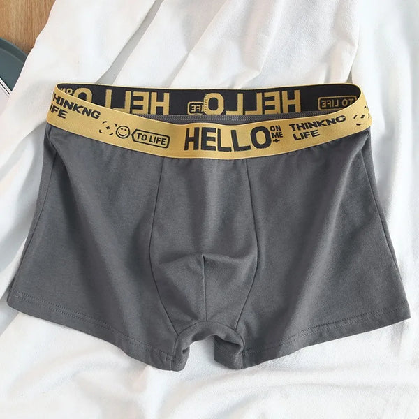 Bye Felicia Goods® “HELLO” Men’s Boxer Briefs – Breathable Comfort Underwear