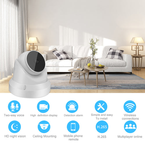 No Sneaking Past This Queen – 1080P HD WiFi Camera with 2-Way, Motion Alert, Night Vision