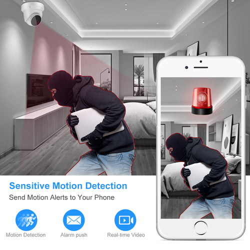 No Sneaking Past This Queen – 1080P HD WiFi Camera with 2-Way, Motion Alert, Night Vision