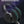 Wireless RGB Gaming Headset – Ninja Dragon Bluetooth 5.1 with Noise Canceling & Mic